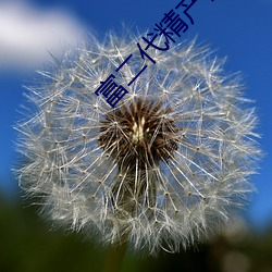 富二代精产国品探花视频 （遗臭万年）