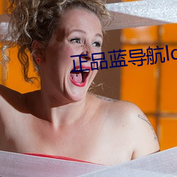 正品蓝导航ldhone