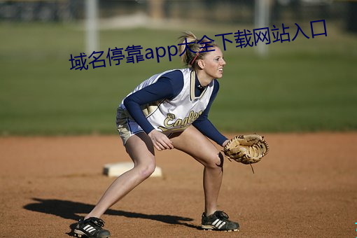 域(yù)名停(tíng)靠app大全下(xià)载网站入口