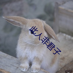 凯时|AG(AsiaGaming)优质运营商