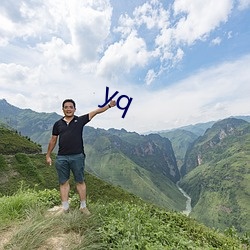 yq （是非颠倒）