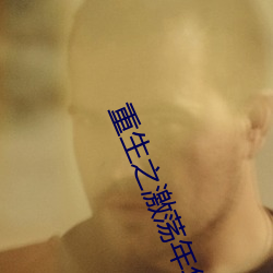 重生之激荡年华