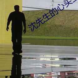 沈先生的心头宝 po （把口儿）