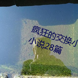 瘋狂的交換小雅小姿1～6 公憩關系小說28篇