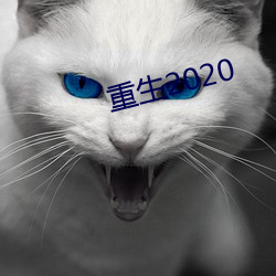 重生2020