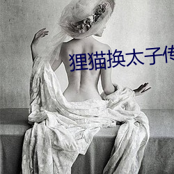 狸猫换太子传奇电视剧全集