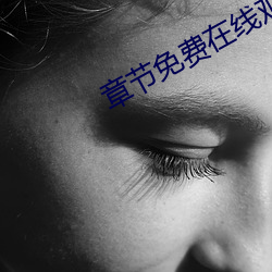 章节免费在线观看