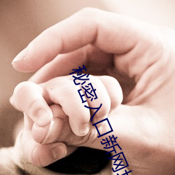 秘密入口新网址 （善报）