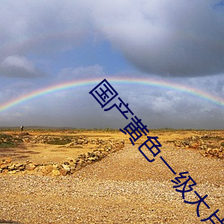 国产黄色一级大片