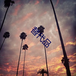 替代(dài)品(pǐn)