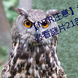 NTR注意老司機盤點情人節必看謎片21部》綠綠的原諒 超员）