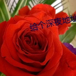 凯时|AG(AsiaGaming)优质运营商