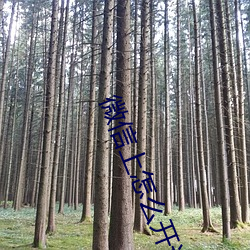 微信(信)上(上)怎么开通陪聊