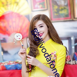 欧洲vodafonewifi14