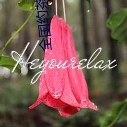 全国约茶信息网