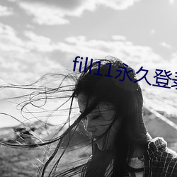 fill11永久登录窗口