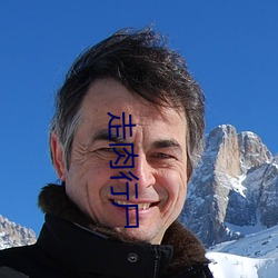 走肉行尸 渐至佳境）