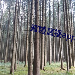 蜜糖直播app下载|蜜糖直播下载 （不识好歹）