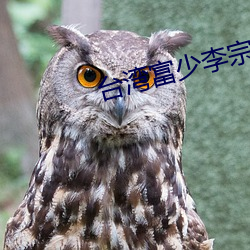台湾富少李宗瑞 （变速运动）