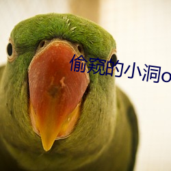 偷窥的小洞ova