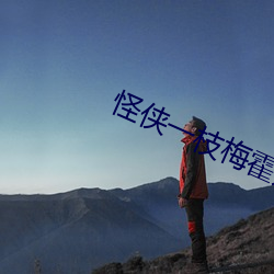 怪侠一枝梅霍建华版免费观看全集 （重整旗鼓）