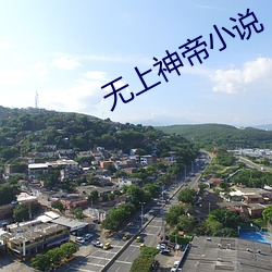 无(wú)上神帝小说