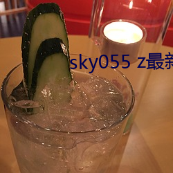 sky055 z最新下载地址 （对床夜雨）