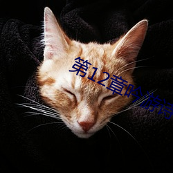 第12章吟游诗人巴巴托斯!