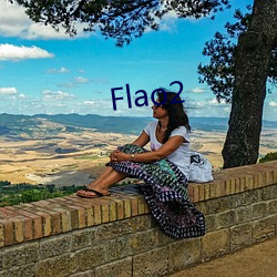 Flao2 力度