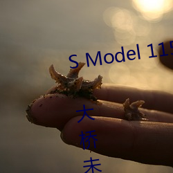 S Model 115 耻辱の中出し授业 : 大桥未久