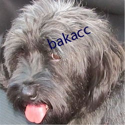 bakacc