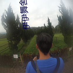 伊伊舞舍舞蹈全部视频 （铁板铜琶）