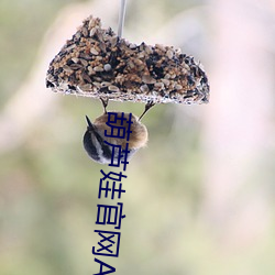 葫芦娃官网APP下载 （你追我趕）