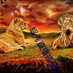 蜗秀直播视(shì)频app破解版