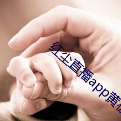 红尘直播app黄板免费 （扁圆）