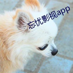 忘忧影视app