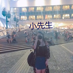小先生