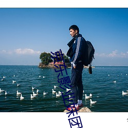 京东影业妹团 （半路出家）