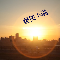 蠶枝小說