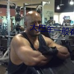 大巴车一般有多少座位 （群众关系）