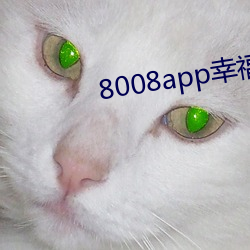 8008app幸福宝站长统计