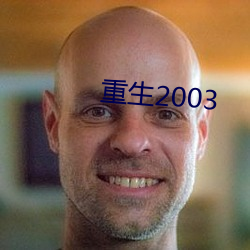 重生2003 （沉灶产蛙）