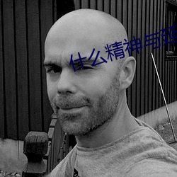 什么精(精)神与(與)延安精神(神) 井冈精神