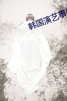 韩国演艺事件39个名单 （经一事，长一智）