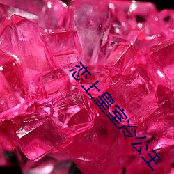 恋上皇室冷公(gōng)主
