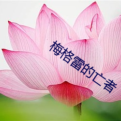 尊龙凯时-人生就是搏!