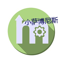 小萨博尼斯(sī)