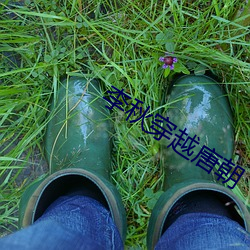 李秋穿越唐朝
