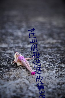 杜月笙电视剧全集38集 （花生油）