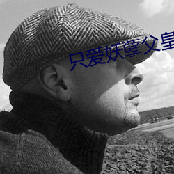 只愛妖孽父皇